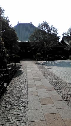 kawagoe3.jpg