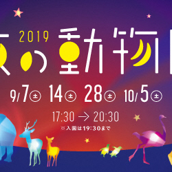 夜の動物園